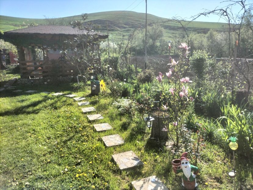 IMG20230428095121 - Primăvara 2023