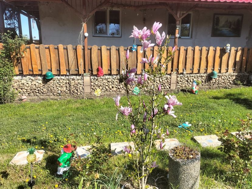 IMG20230428095055 - Primăvara 2023