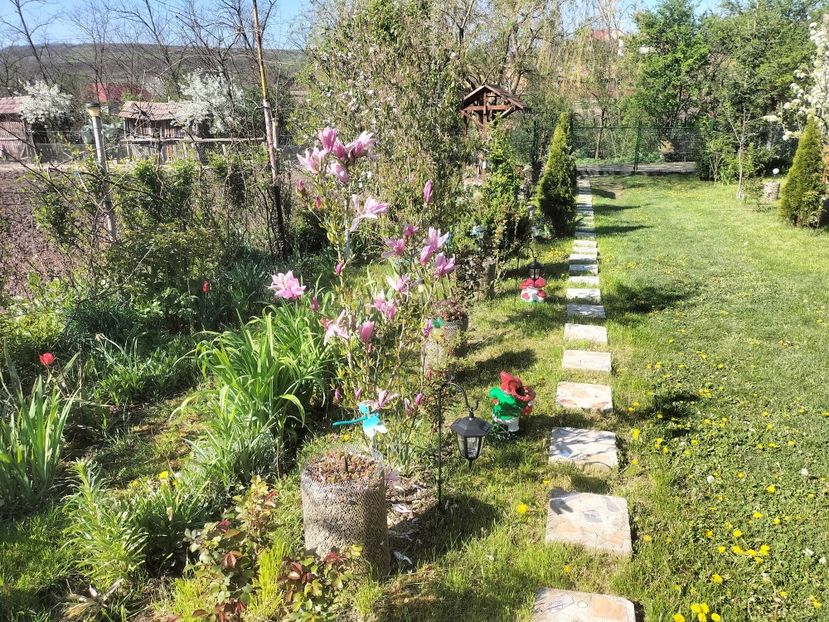 IMG20230428095042 - Primăvara 2023