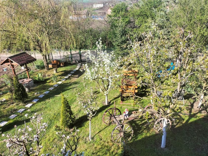 IMG20230428090137 - Primăvara 2023