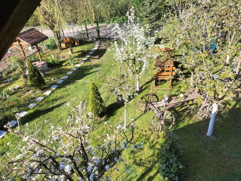 IMG20230428090130 - Primăvara 2023