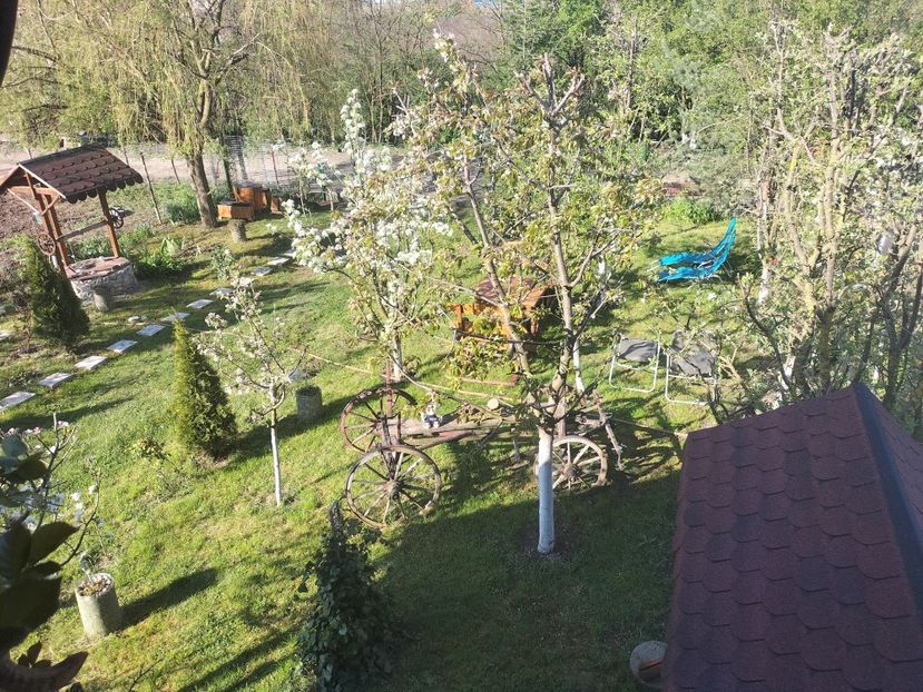 IMG20230428090120 - Primăvara 2023