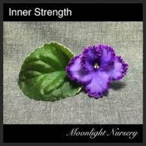 foto net - Inner Strenght