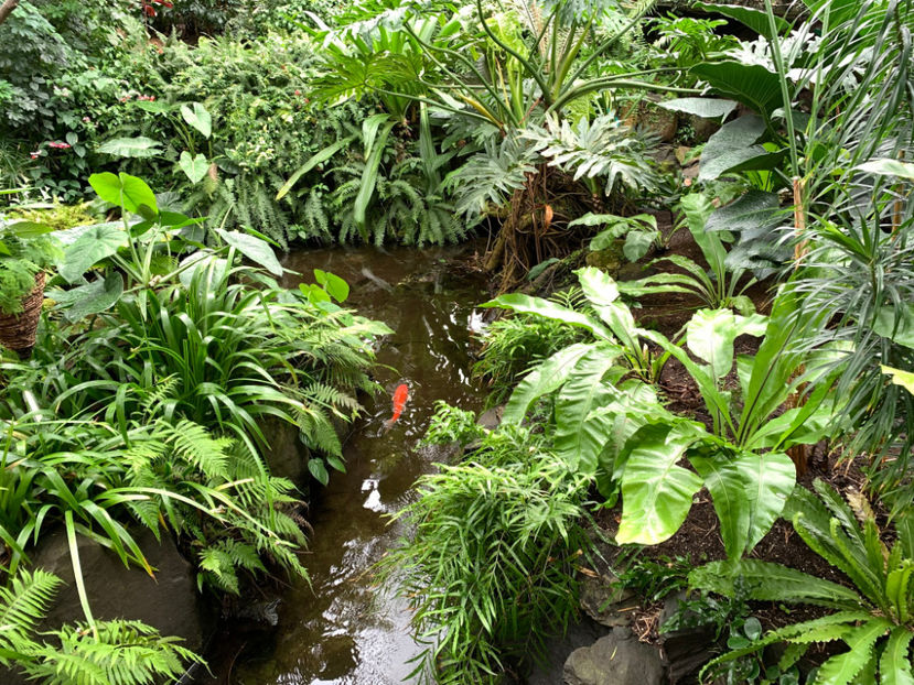  - Bloedel Conservatory Vancouver