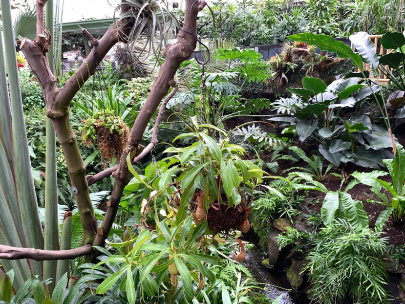  - Bloedel Conservatory Vancouver