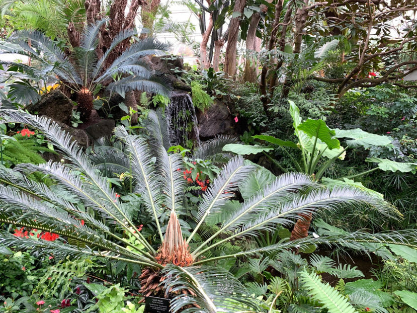  - Bloedel Conservatory Vancouver
