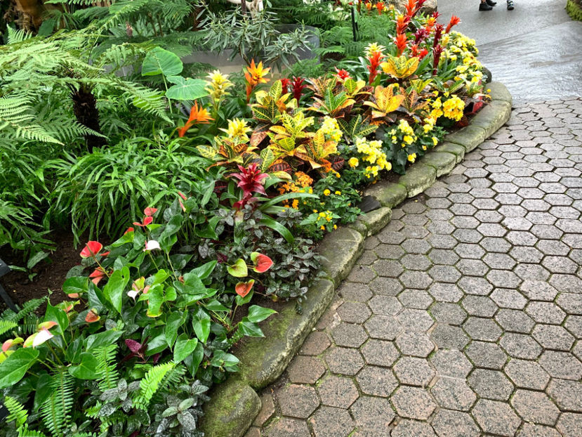  - Bloedel Conservatory Vancouver