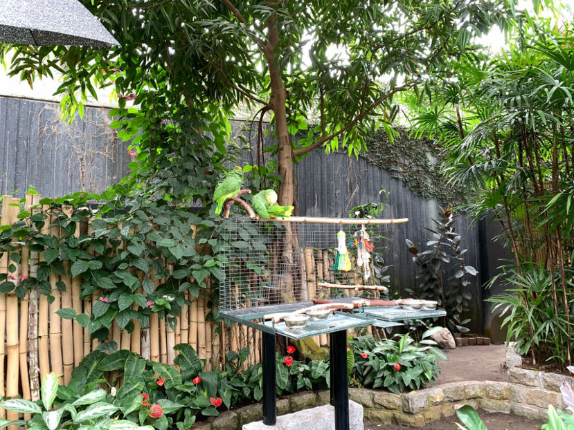  - Bloedel Conservatory Vancouver