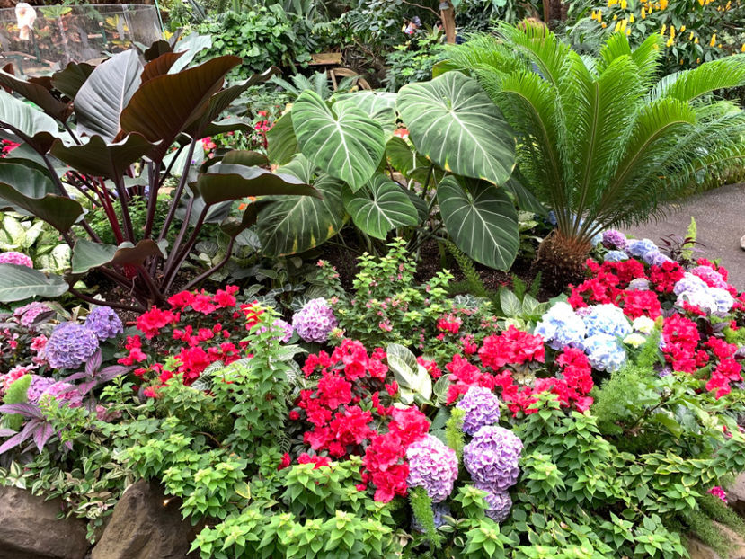  - Bloedel Conservatory Vancouver