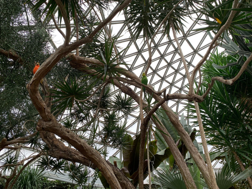  - Bloedel Conservatory Vancouver