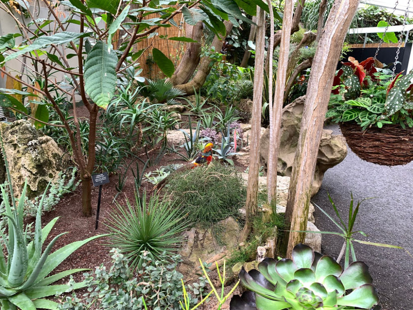  - Bloedel Conservatory Vancouver