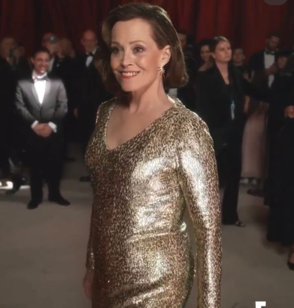  - Collection of Tintypes