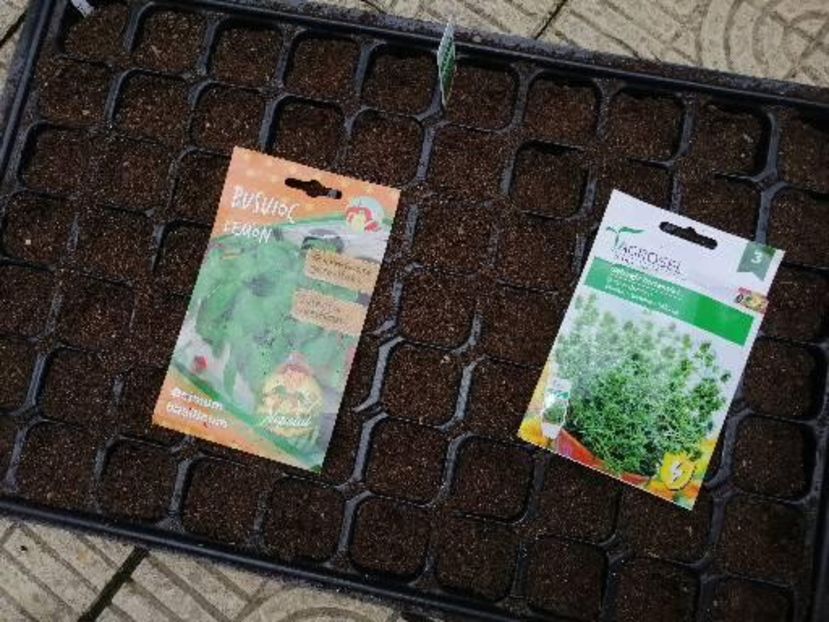  - aaa Comanda plante 2022 2023 2024