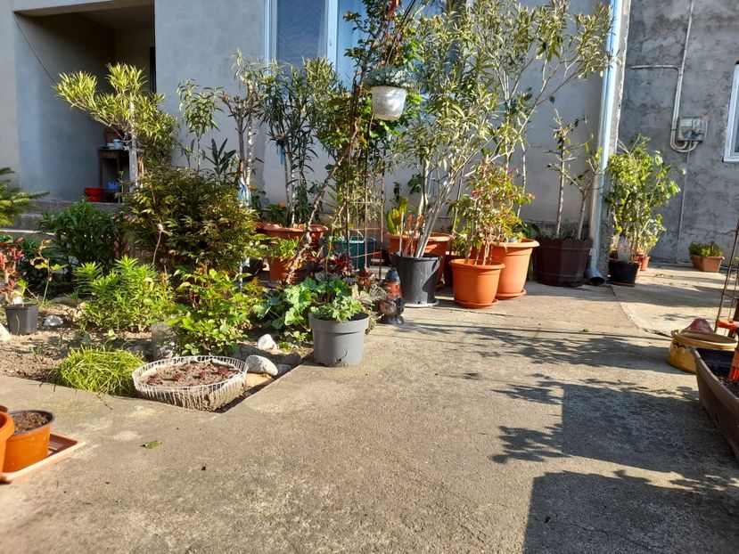  - 1 Bucurii nemuritoare 2023