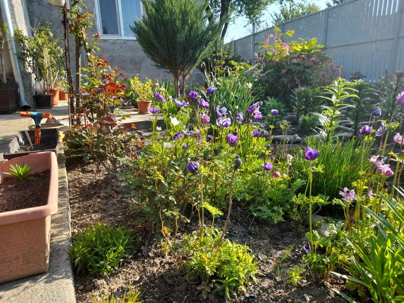  - 1 Bucurii nemuritoare 2023