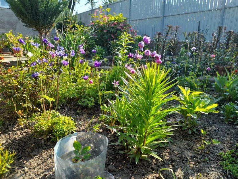  - 1 Bucurii nemuritoare 2023