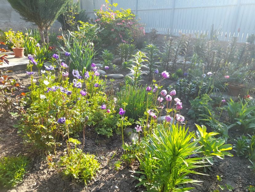  - 1 Bucurii nemuritoare 2023