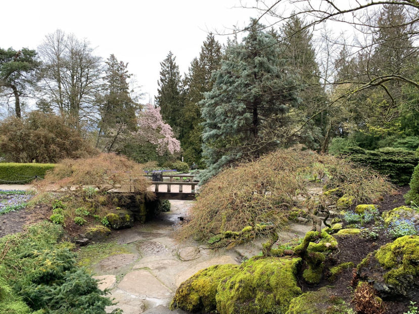  - Queen Elizabeth Park Vancouver