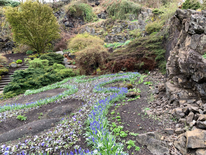  - Queen Elizabeth Park Vancouver