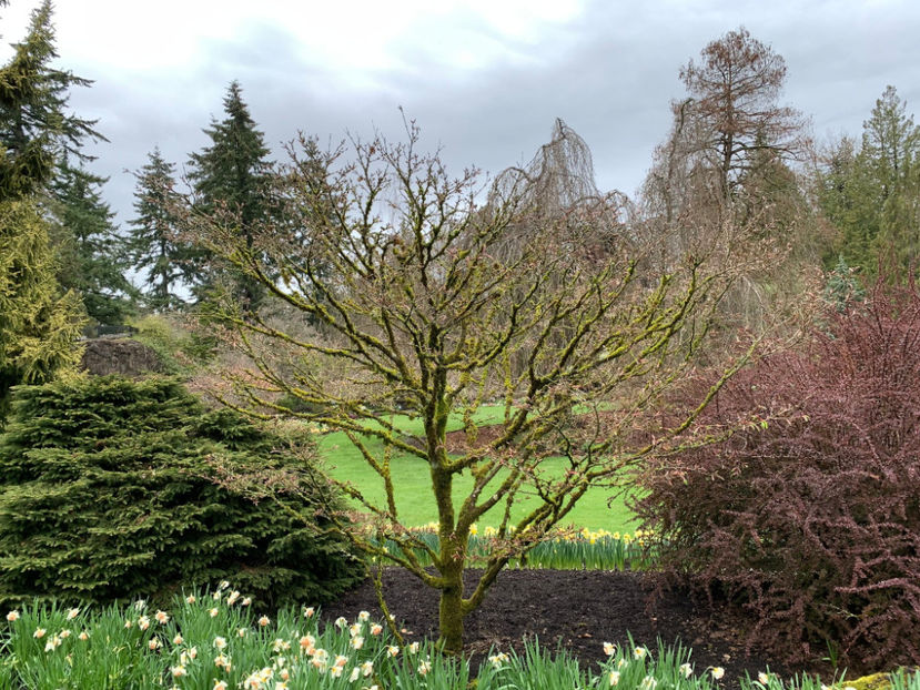  - Queen Elizabeth Park Vancouver