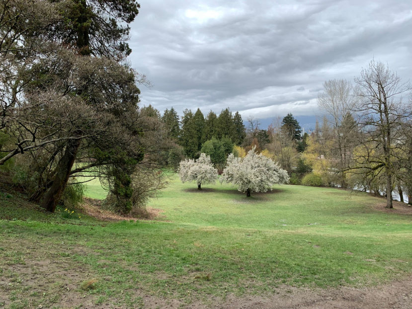  - Queen Elizabeth Park Vancouver