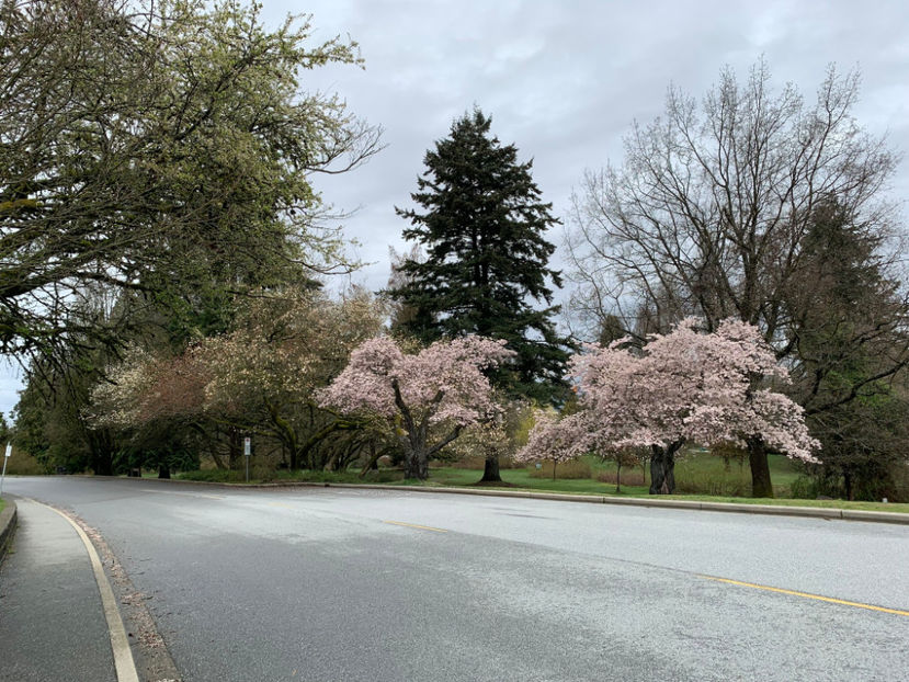  - Queen Elizabeth Park Vancouver