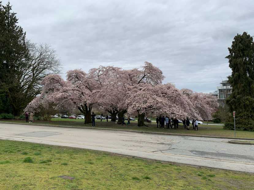  - Queen Elizabeth Park Vancouver