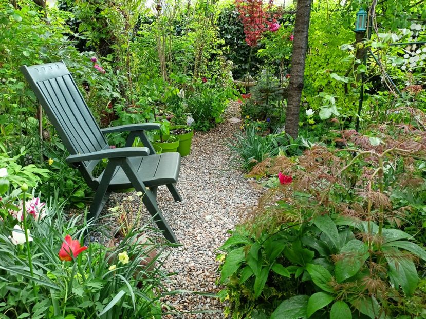 Shaina și Hana Matoi - Arțari