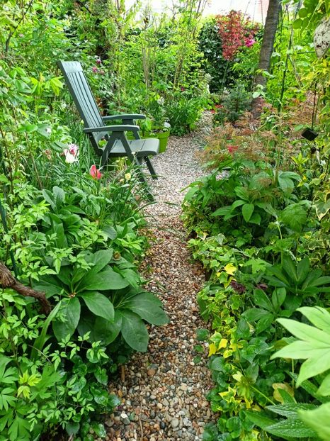 Shaina și Hana Matoi - Arțari