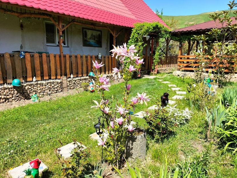 IMG20230430144415 - Primăvara 2023