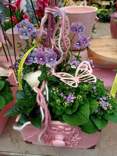 Img.2023.05.01 - Magazinul 2