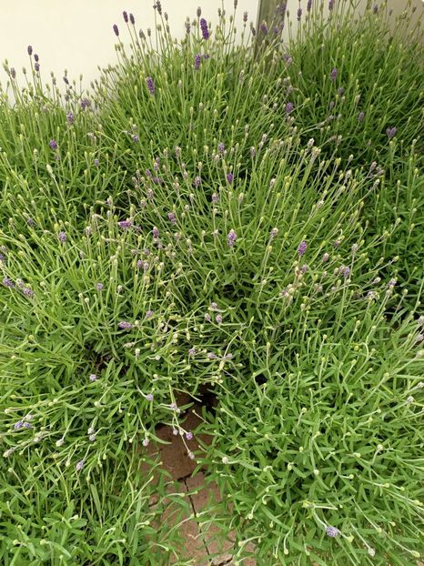 Img.2023.05.01 - Magazinul 2