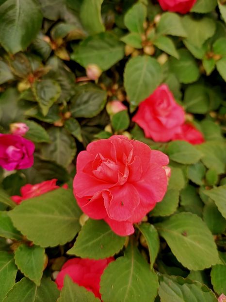 Img.2023.05.01 - Magazinul 2