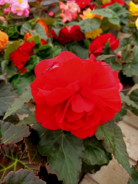 Img.2023.05.01 - Magazinul 2