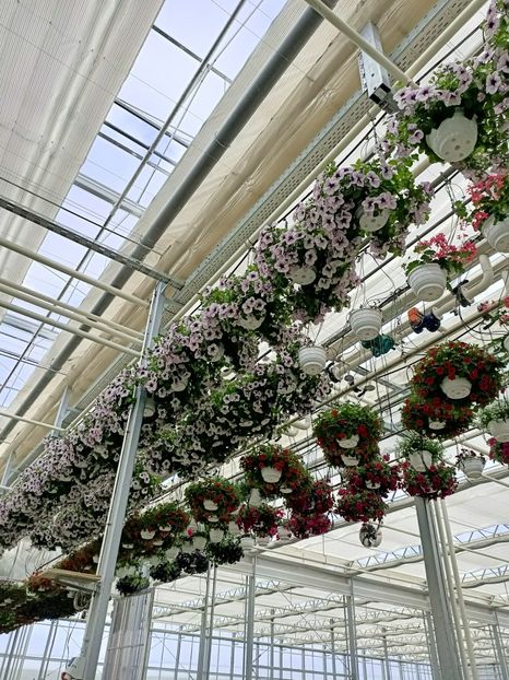 Img.2023.05.01 - Magazinul 2