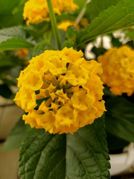 Img.2023.05.01 - Magazinul 2