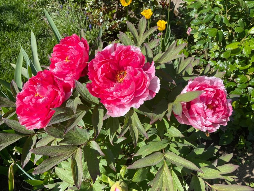 3EDBF358-8A81-4654-A529-4DE0EAFF45C7 - 01 Primăvara 2023