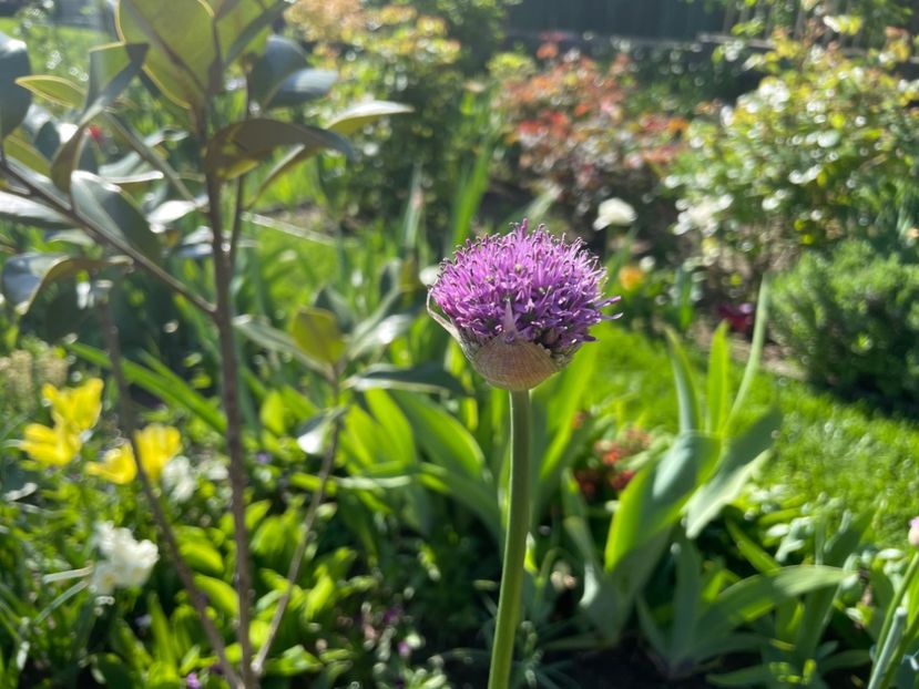 7B5EB340-6988-4327-8558-035B2EC04EDF - 01 Primăvara 2023