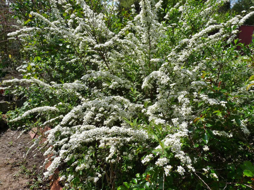  - 2023 - 01 - Primavara