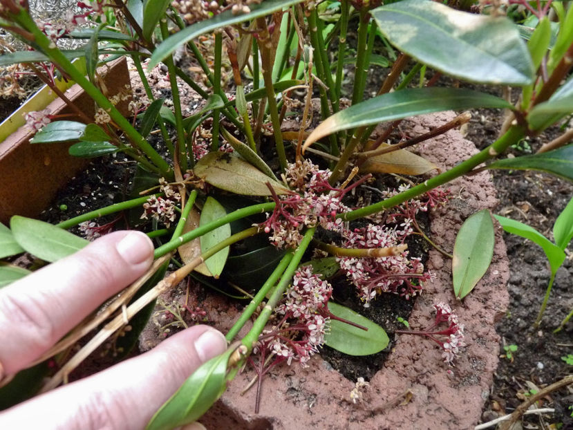 nu se mai merita - 2023 - 01 - Primavara