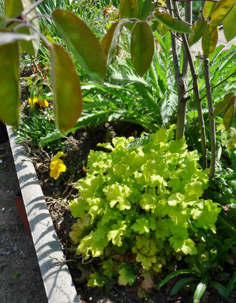  - 2023 - 01 - Primavara