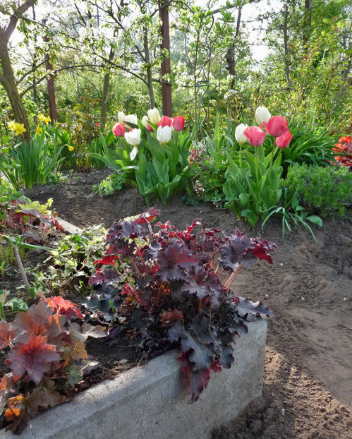  - 2023 - 01 - Primavara