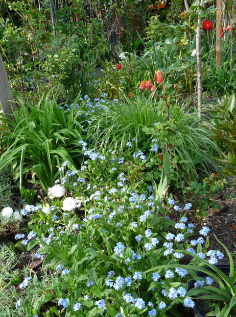  - 2023 - 01 - Primavara