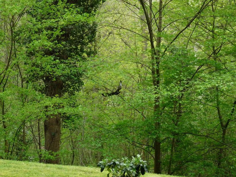  - 2023 - 01 - Primavara