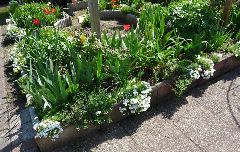  - 2023 - 01 - Primavara