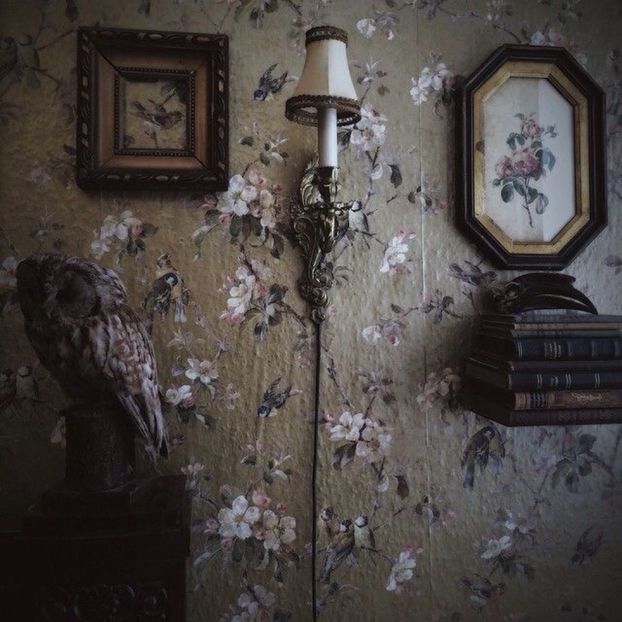 I felt this corner was a bit too normal. Hmph. - Collection of Tintypes