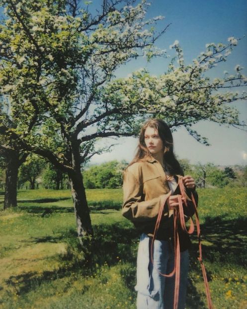 ṥpotted: another tree - Collection of Tintypes