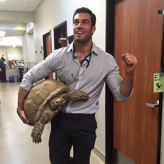 Evan put the goddamn tortoise back - Collection of Tintypes