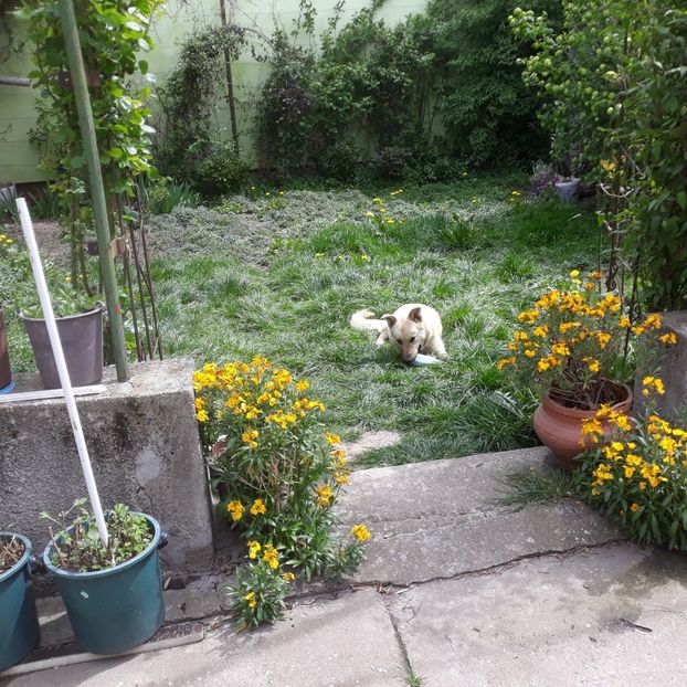 Cactusul meu preferat. Că nu inteapă..3 mai 2023 - Codiță-Cody -Coco