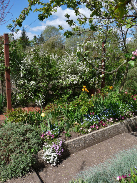  - 2023 - 01 - Primavara